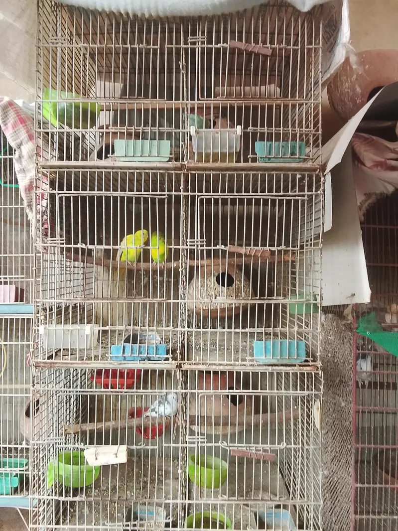 8 and 6 and 3 and 2 portion cages are available for sale — photo 3