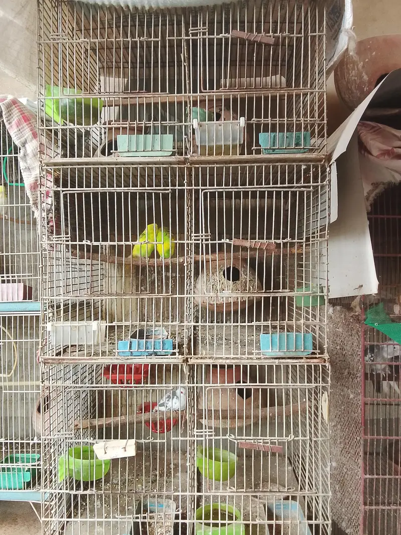 8 and 6 and 3 and 2 portion cages are available for sale — photo 4