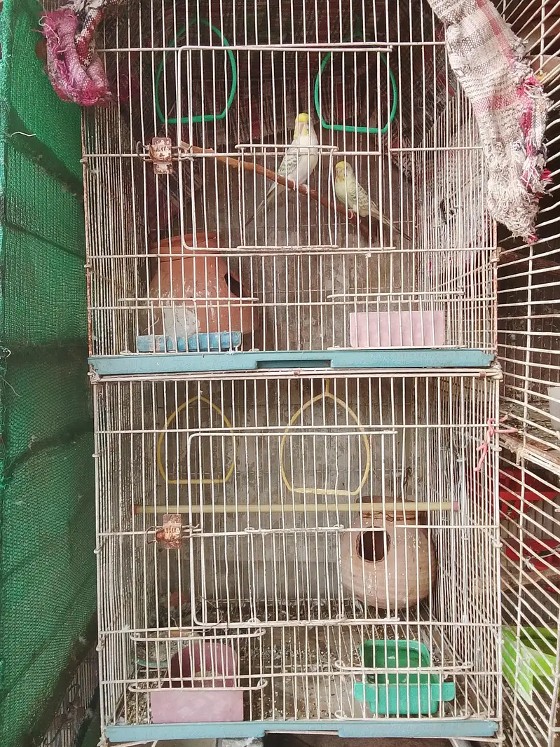8 and 6 and 3 and 2 portion cages are available for sale — photo 5