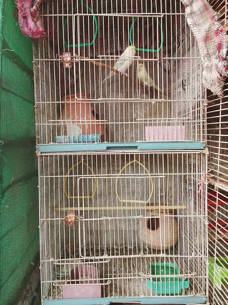 8 and 6 and 3 and 2 portion cages are available for sale — photo 6