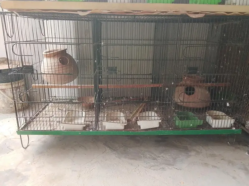 8 and 6 and 3 and 2 portion cages are available for sale — photo 7