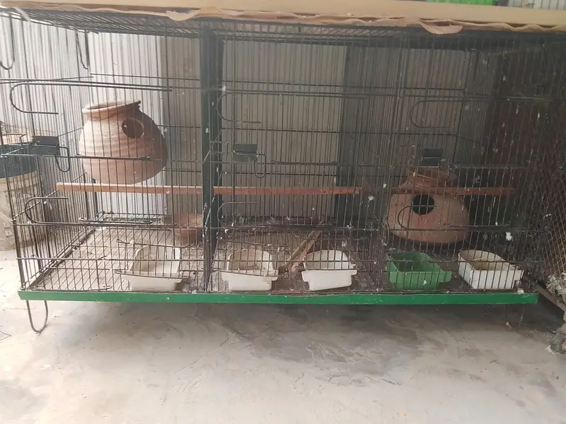 8 and 6 and 3 and 2 portion cages are available for sale — photo 8