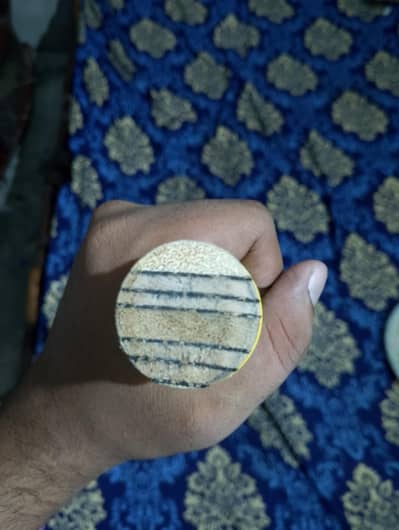 cricket bat