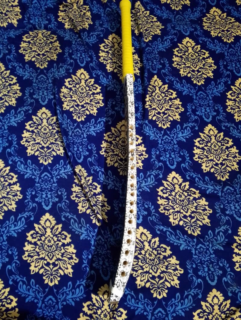 cricket bat 1