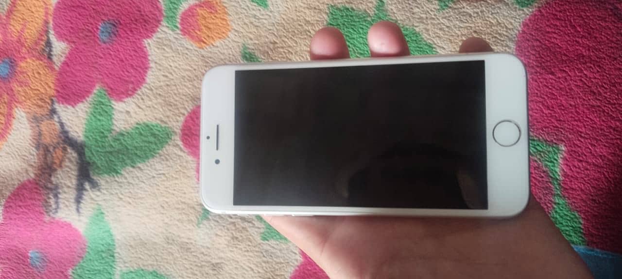 Apple iPhone 7 1