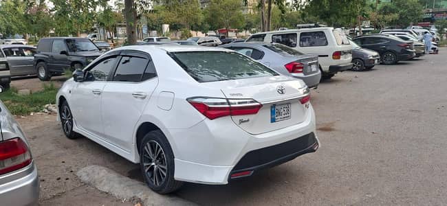 Altis grande