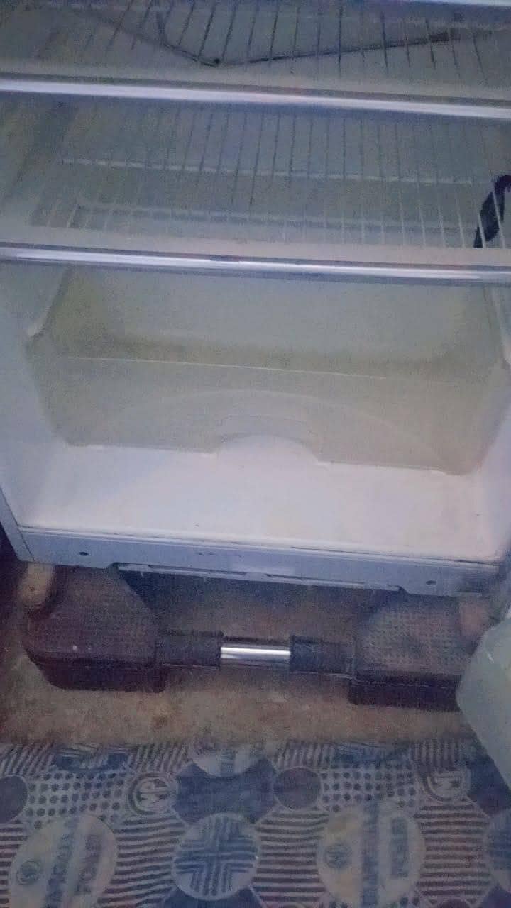 freezer 1