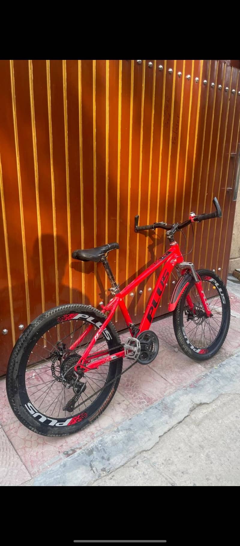 Bicycle 1