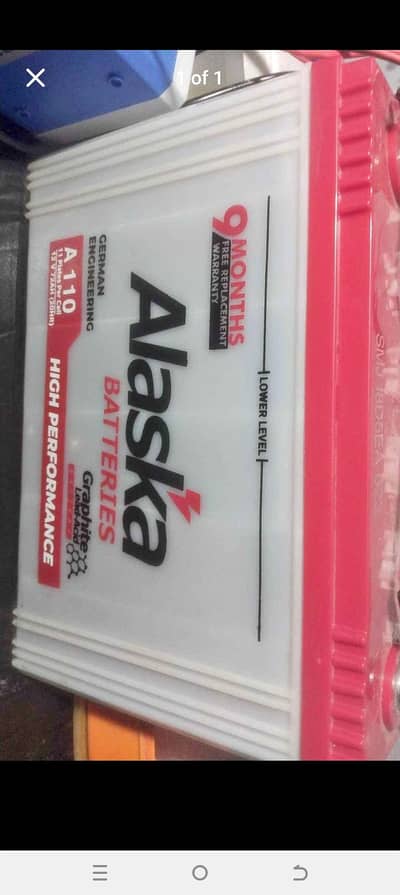 Alaska battery 110v