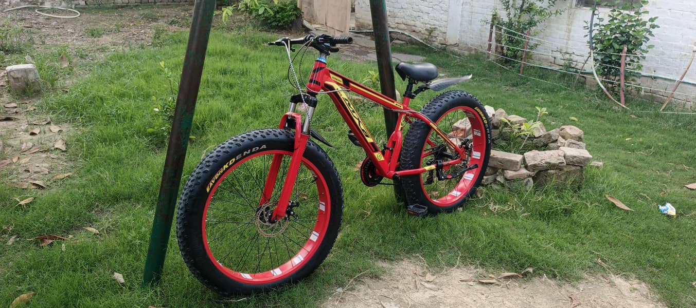 Mountain Bicycle 0