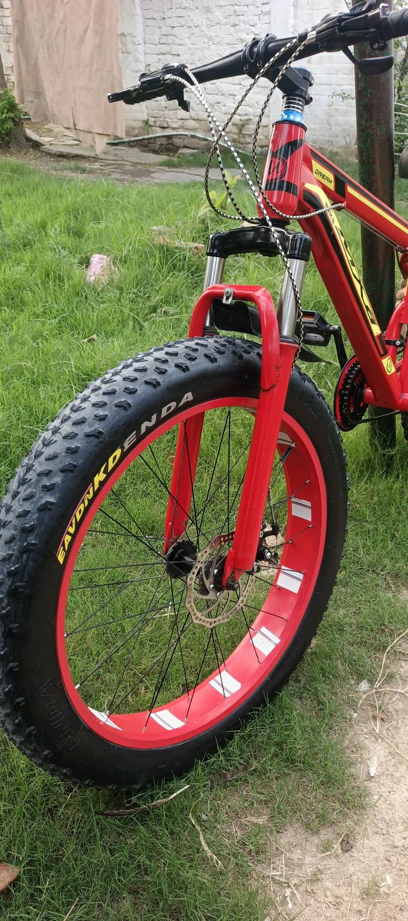 Mountain Bicycle 1