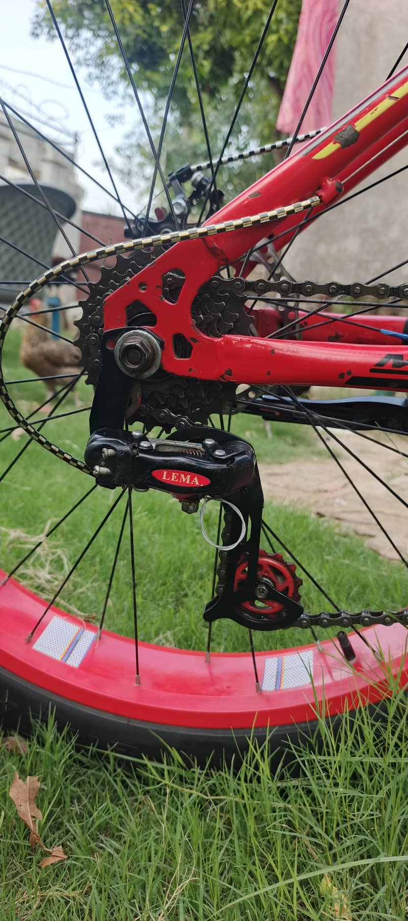 Mountain Bicycle 4