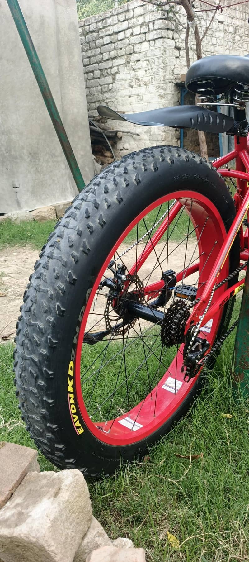 Mountain Bicycle 6