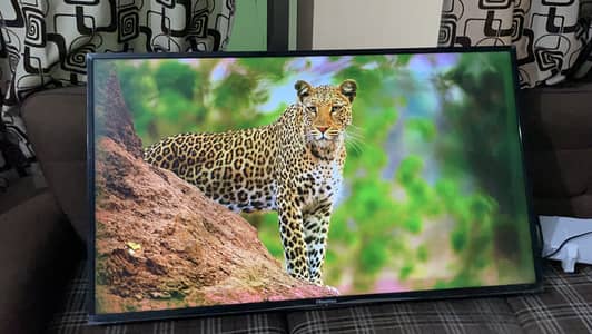Hisense 49 inch Android smart tv full hd 1080p