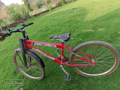 urgent sale  red colr