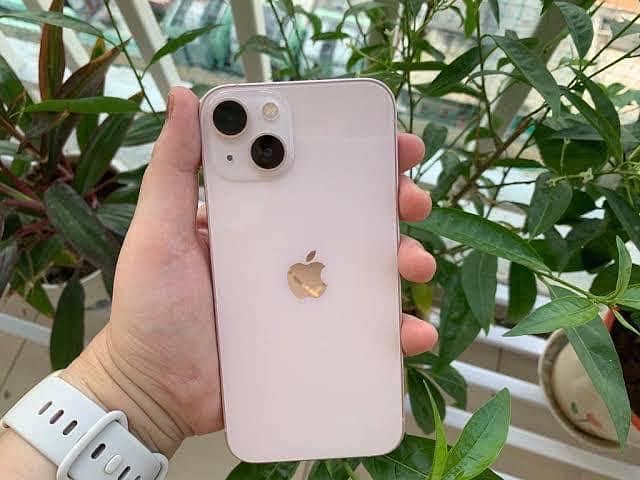 Apple iPhone 13 0