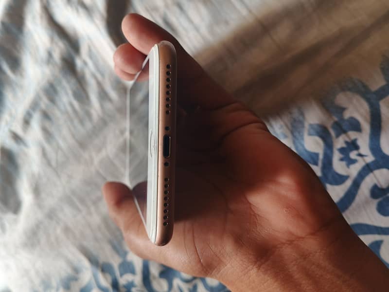 Apple iPhone 8 Plus 0