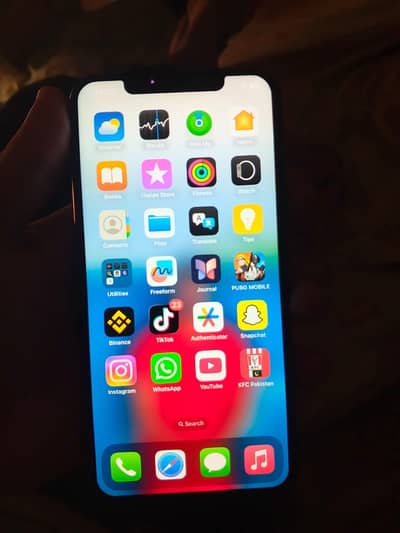 Apple iPhone X