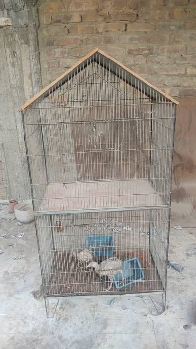 Cage for Parrot and Hen