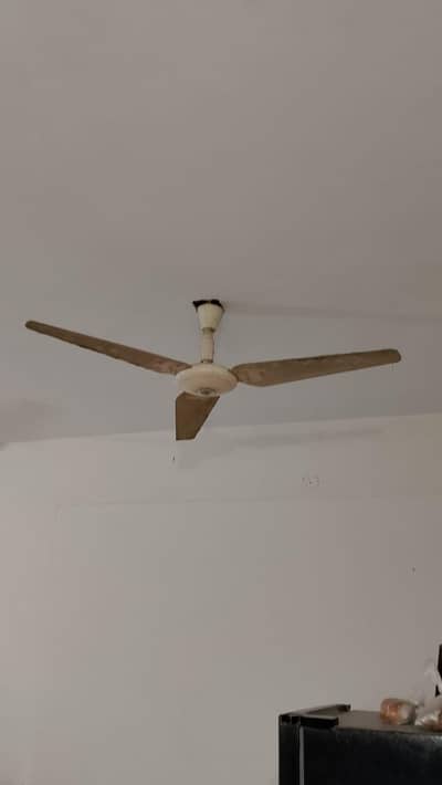 3 fans
