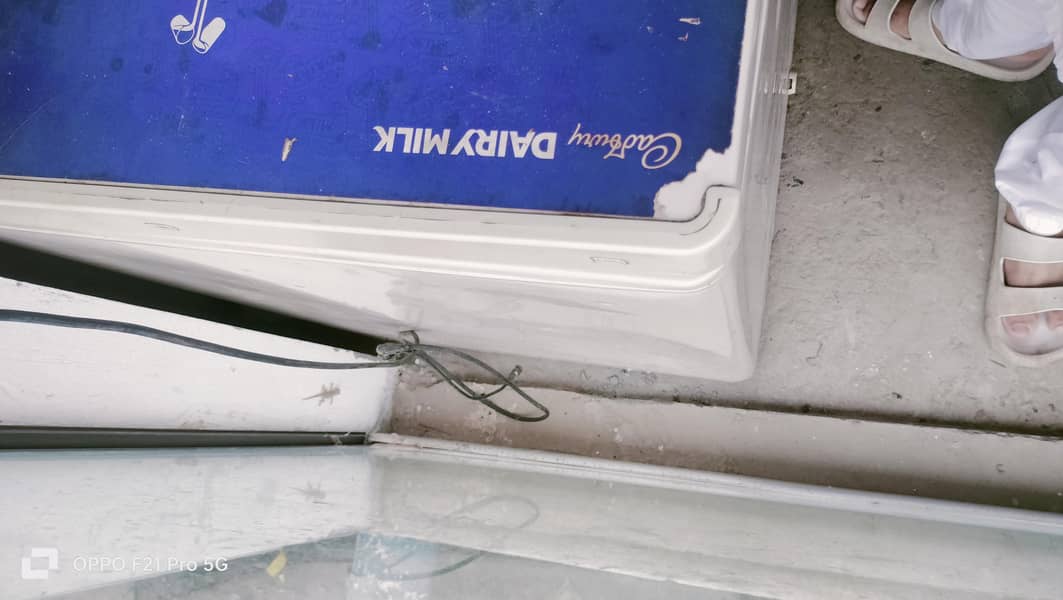 Freezer 1