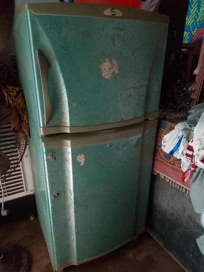 PEL Fridge available for sale