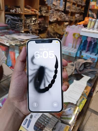 Apple iPhone 12