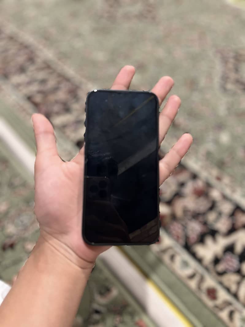 Apple iPhone 13 12