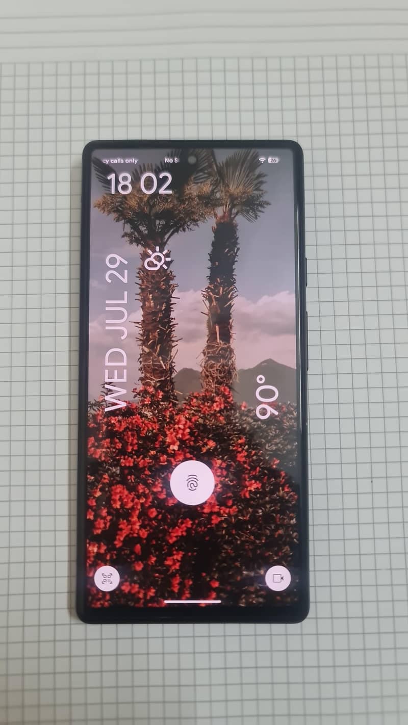 Google Pixel 6 0