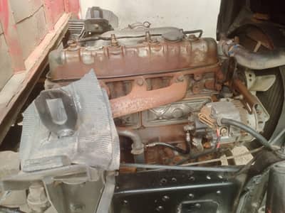 master forland