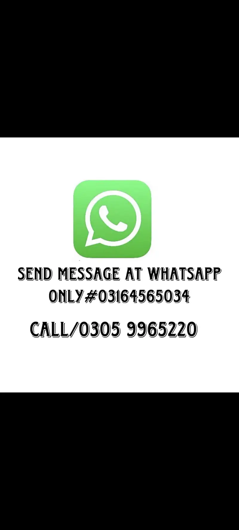 Persian kittens available 03164565034 — photo 8