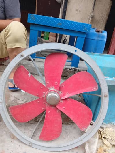 Royal Fan