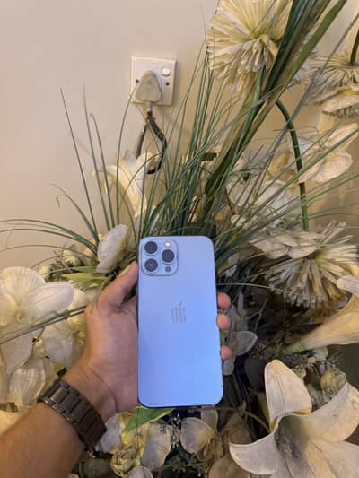 Apple iPhone 13 Pro Max