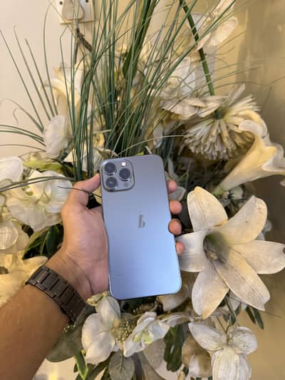 Apple iPhone 13 Pro Max