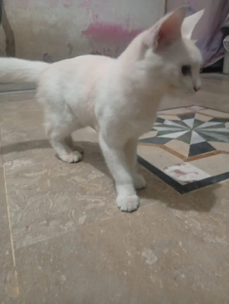 cute and friendly — photo 7