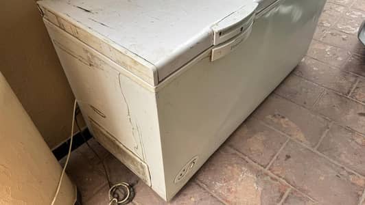 Waves Fridge & Freezer Double Foor