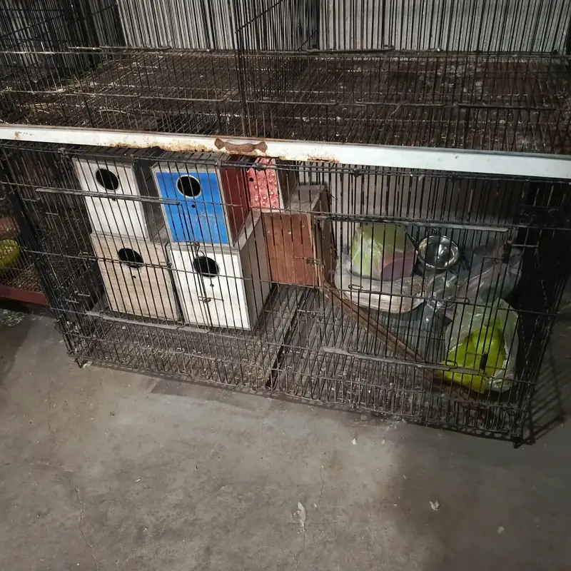 used cage — photo 3