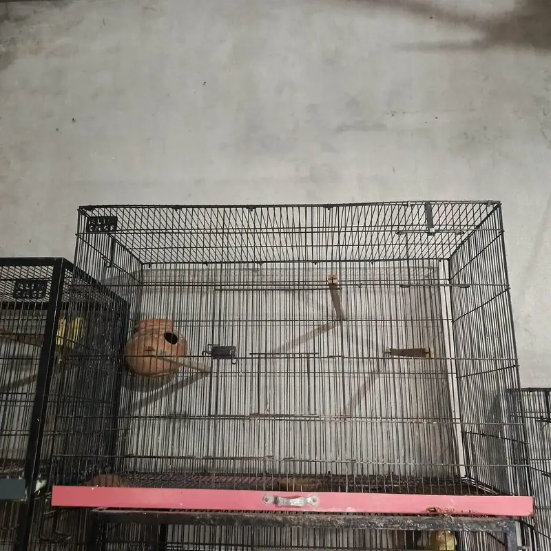 used cage — photo 4