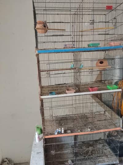 cage p