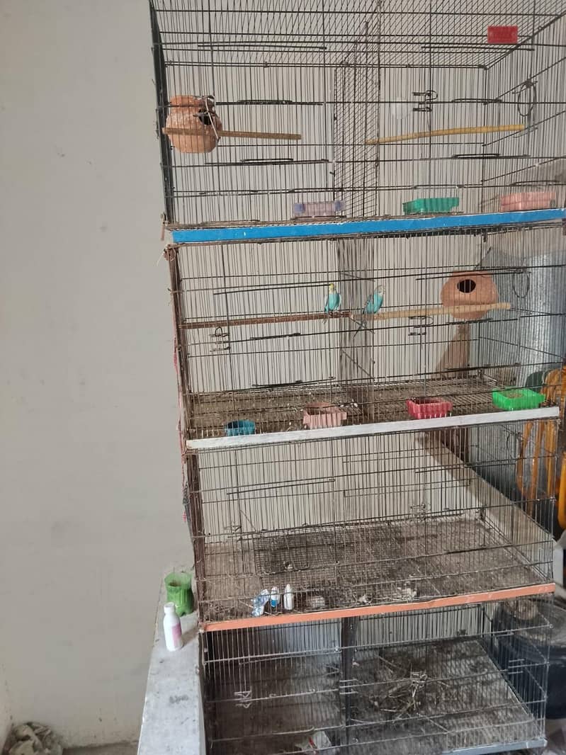 cage p 0