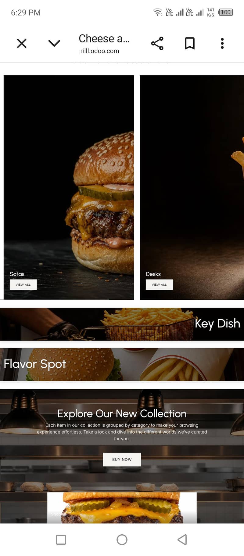 Website Development 1