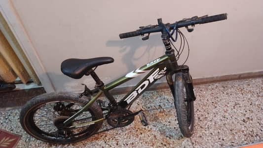 BDF bicycle 20 inch Gear