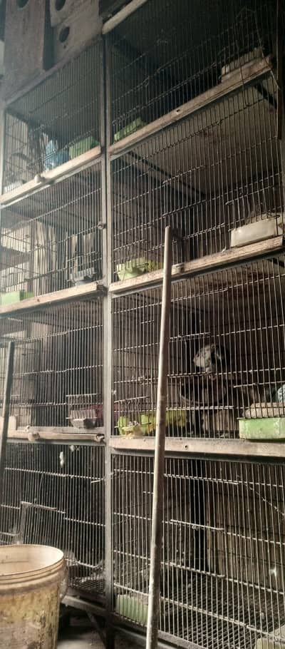4 portion cage for sale