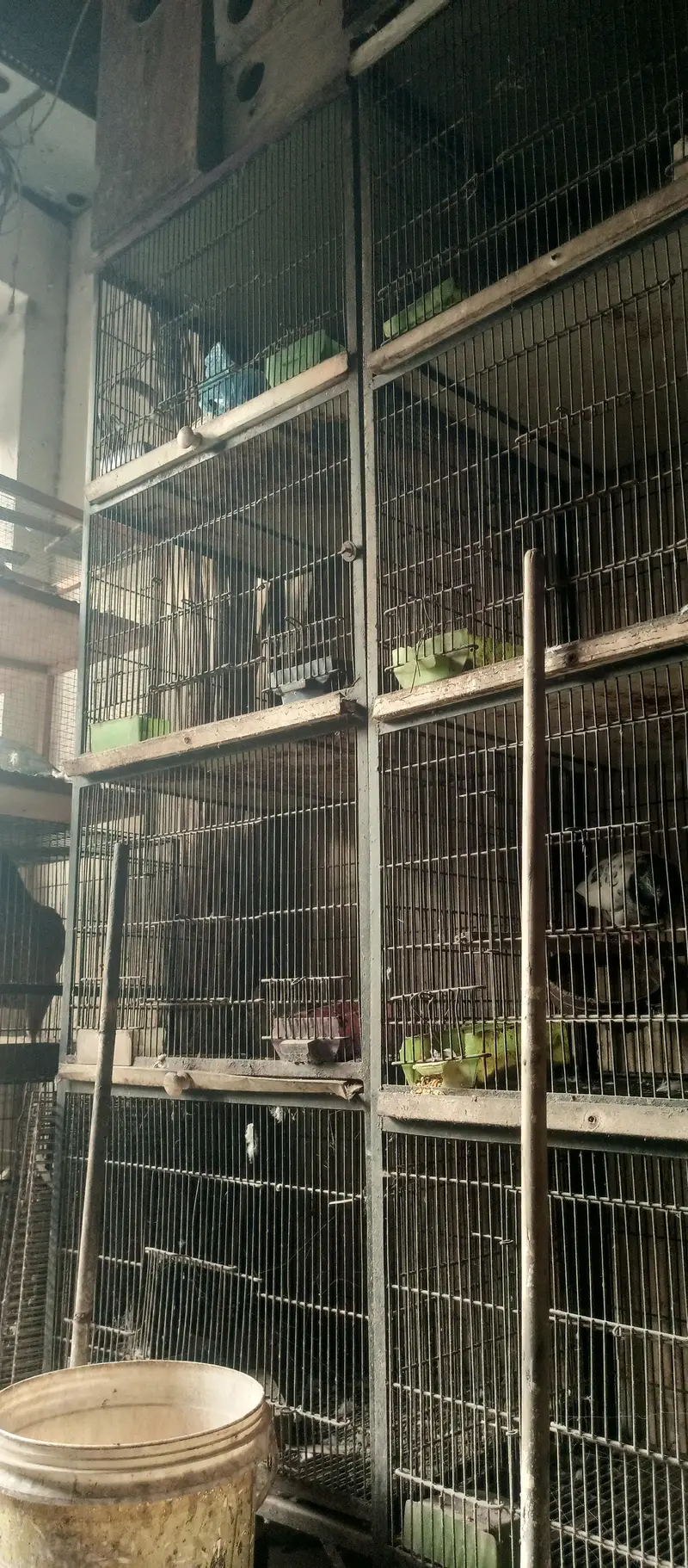 4 portion cage for sale — photo 2