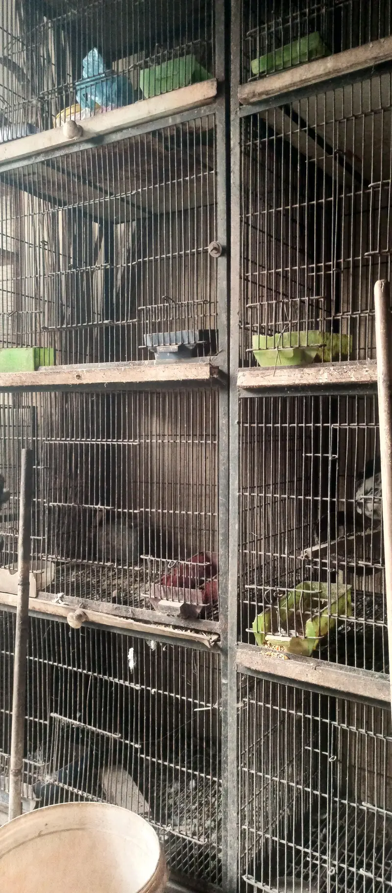 4 portion cage for sale — photo 3