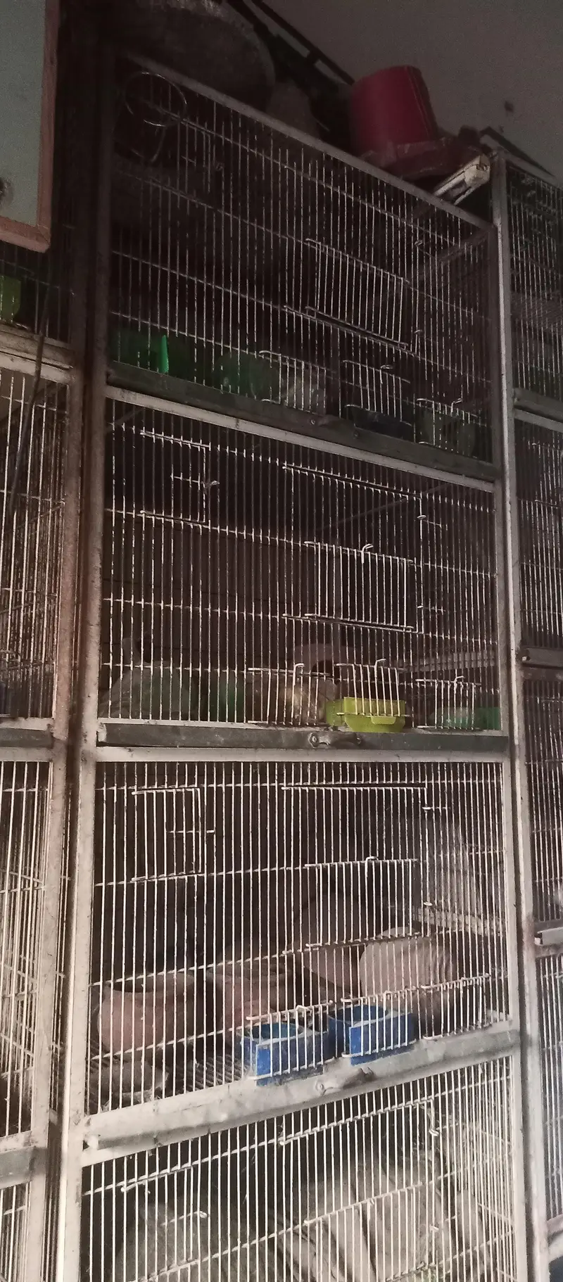 4 portion cage for sale — photo 4