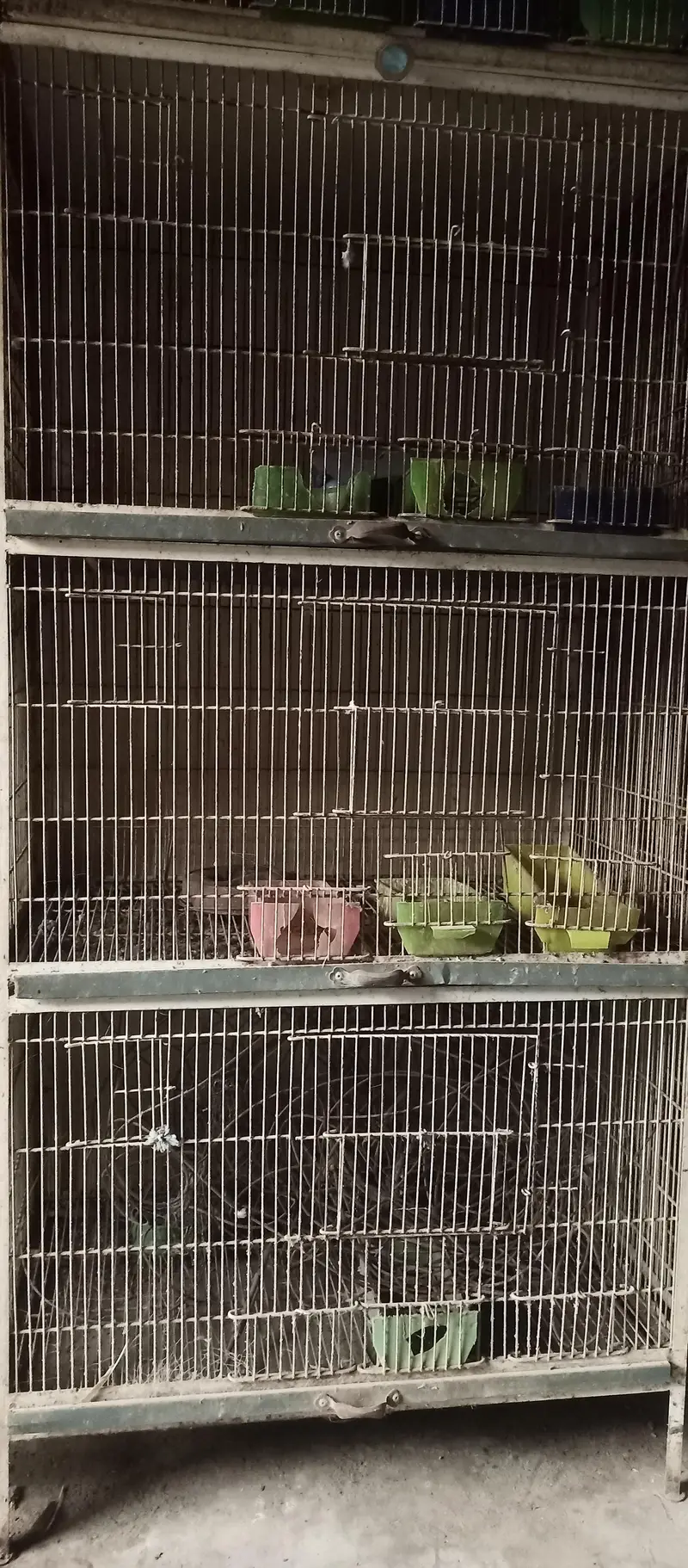 4 portion cage for sale — photo 5