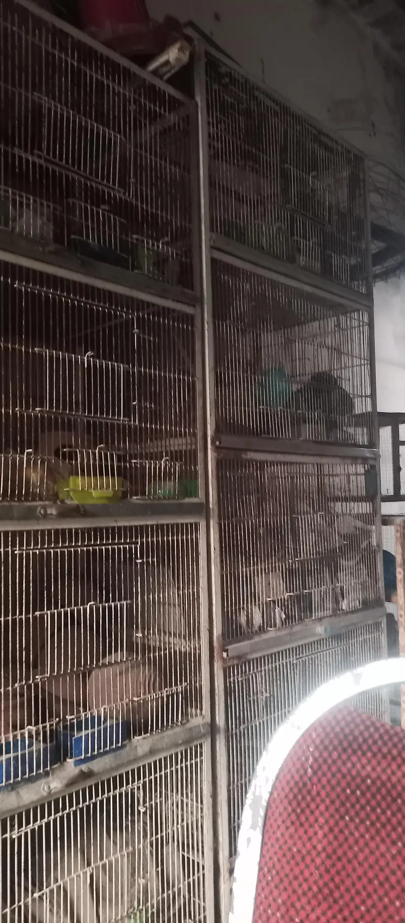 4 portion cage for sale — photo 6