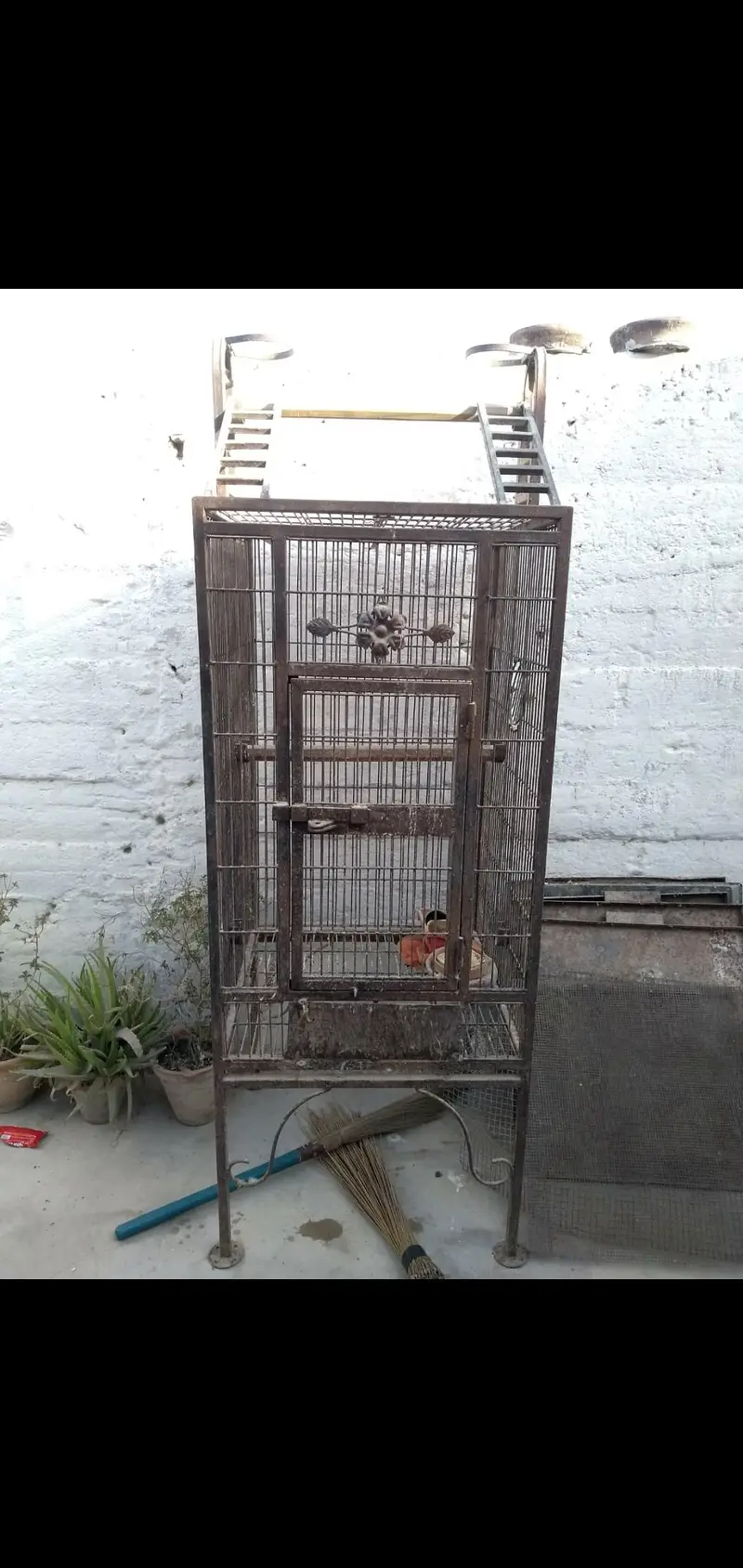 HEAVY CAGE GREY PARROTS MACAW COCKATOO I ORDER PE BNA HOWA HA — photo 2