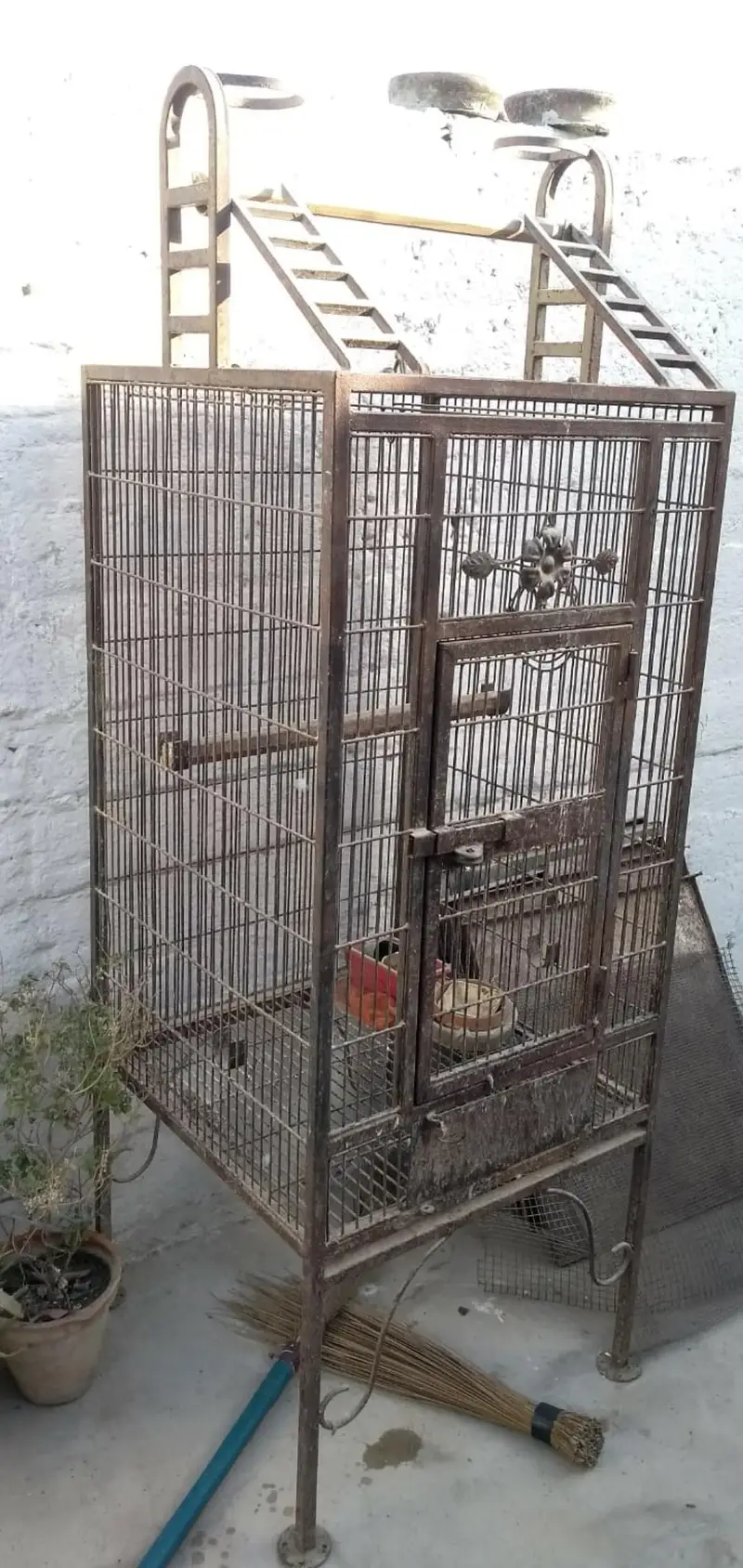 HEAVY CAGE GREY PARROTS MACAW COCKATOO I ORDER PE BNA HOWA HA — photo 3